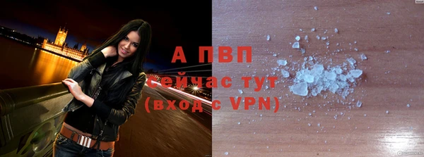 крисы Алексин