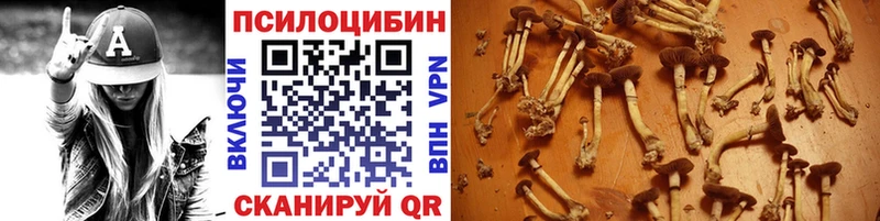 Псилоцибиновые грибы ЛСД  МЕГА ССЫЛКА  Вилюйск 